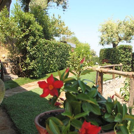 Villa La Ventana Sant'Agnello Exteriér fotografie
